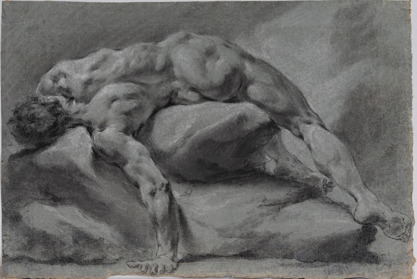 francesco monti studio nudo maschile